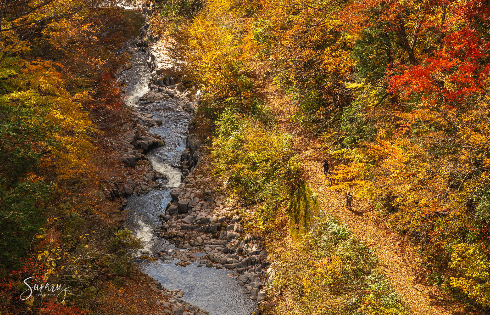 Bandai Azuma Lakeline