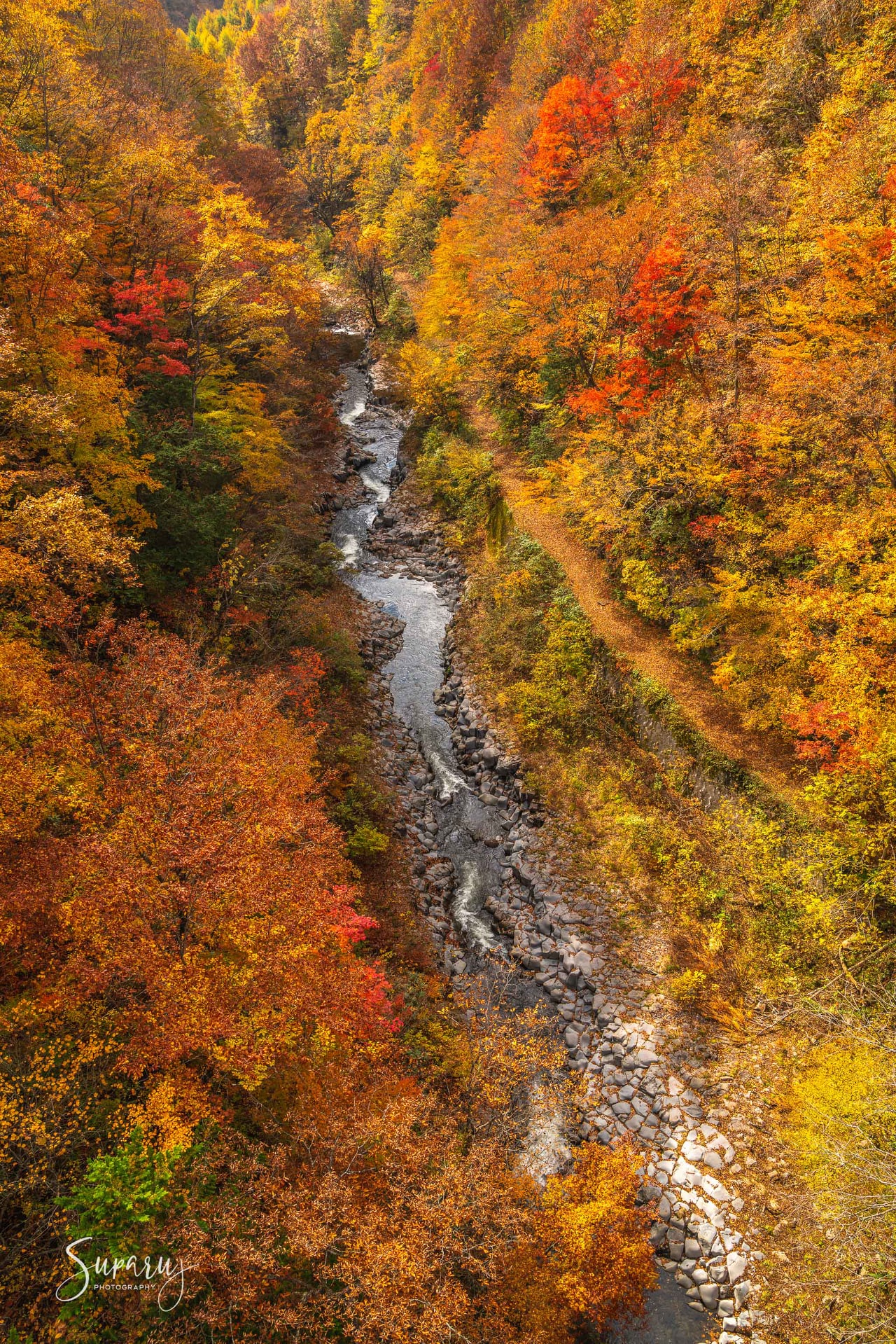 Bandai Azuma Lakeline