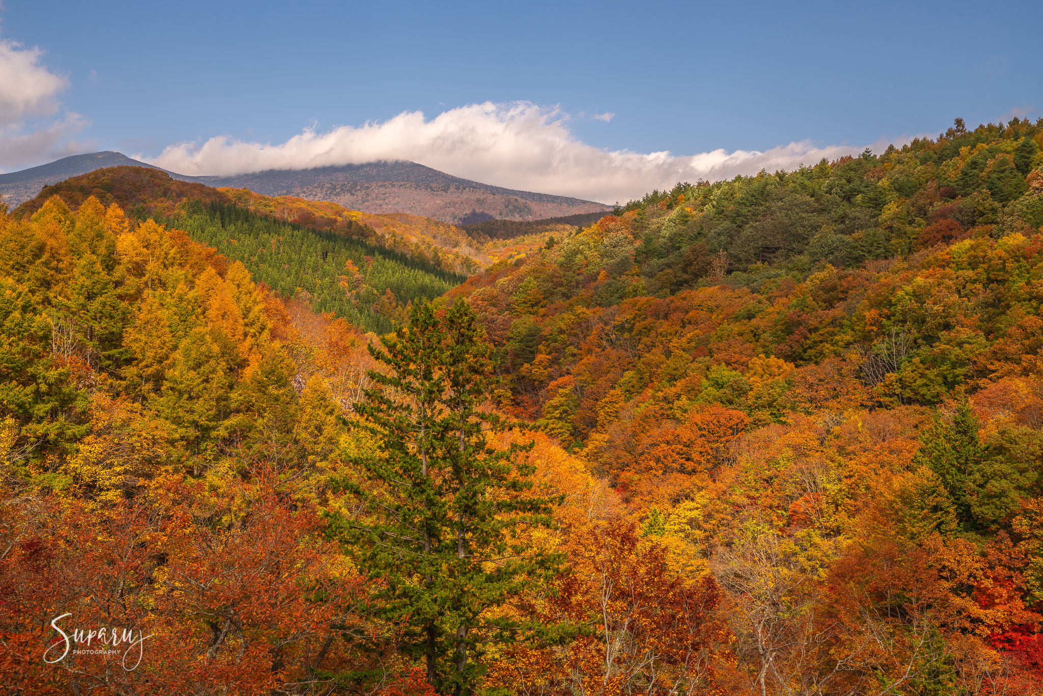 Bandai Azuma Lakeline