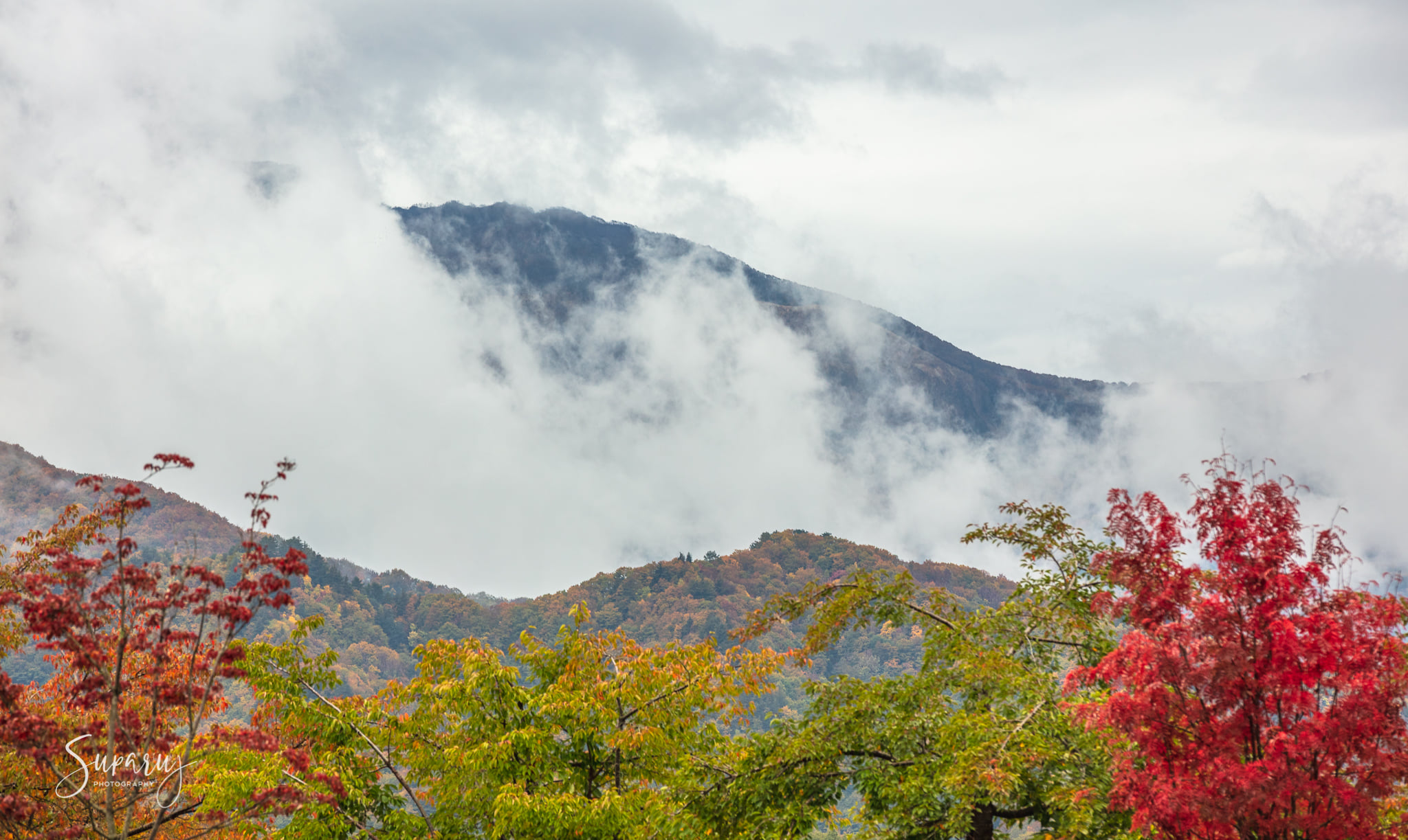 Bandai Azuma Lakeline