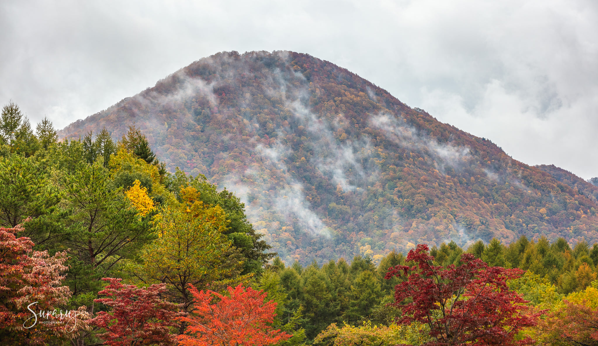Bandai Azuma Lakeline