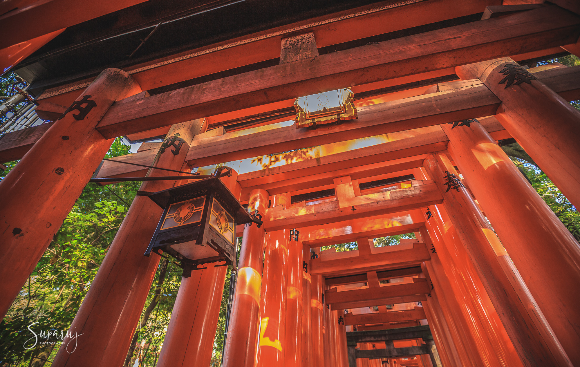 Fushimi inari