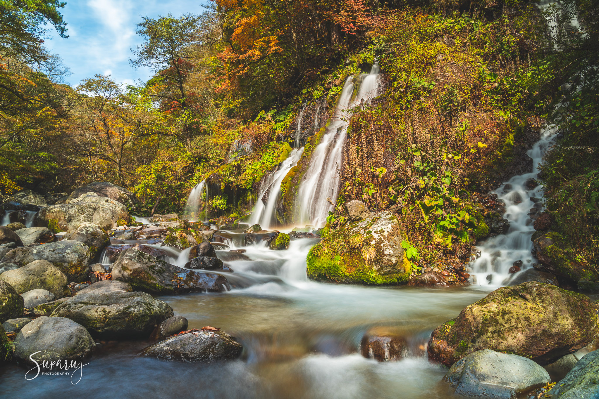 อ้วกมังกร-3