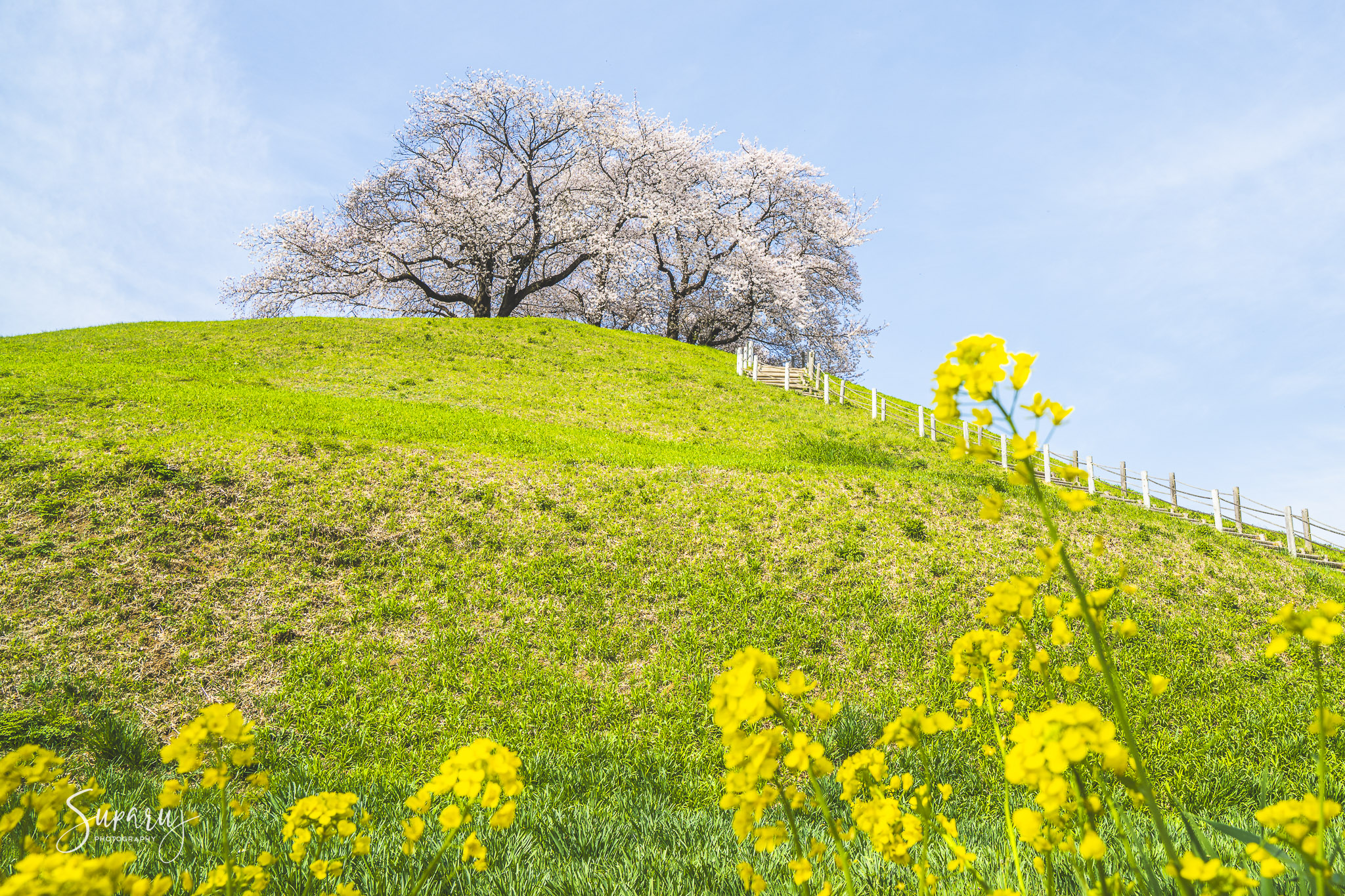 Saitama Kofun